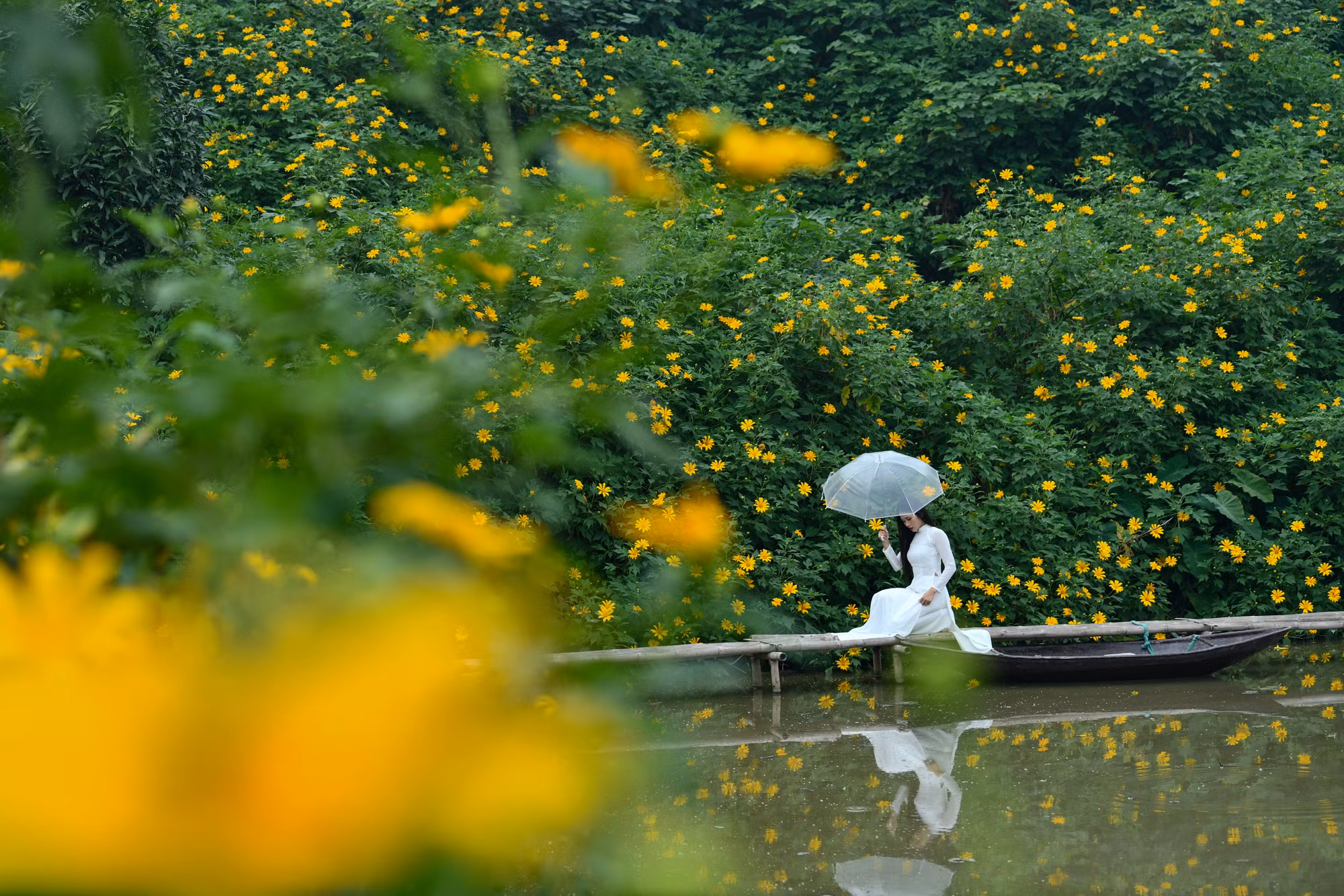 Mật độ hoa khá dày đặc nên dù đứng ở bất kì vị trí nào bạn cũng có thể sở hữu một tấm hình đẹp lung linh.