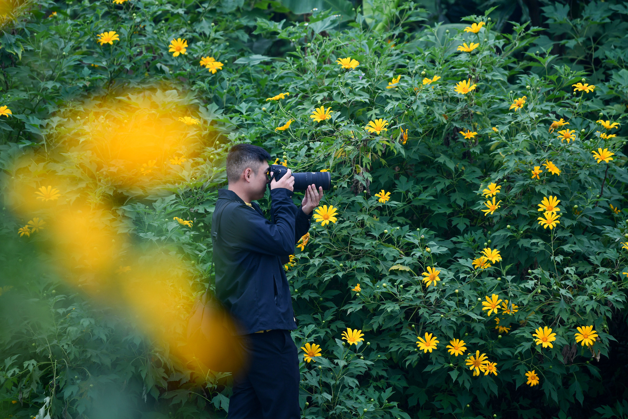 Địa chỉ này còn được biết đến khi mùa sen nở, hàng ngày có hàng trăm người đến chụp hình và ngắm cảnh.
