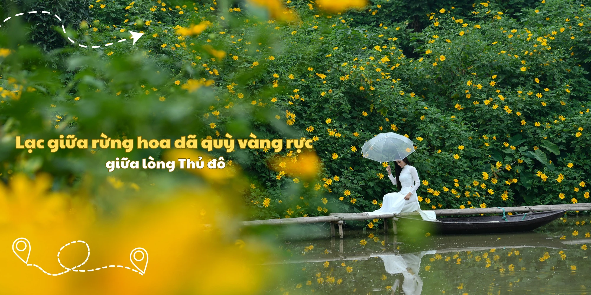 Lạc giữa rừng hoa dã quỳ vàng rực giữa lòng Thủ đô