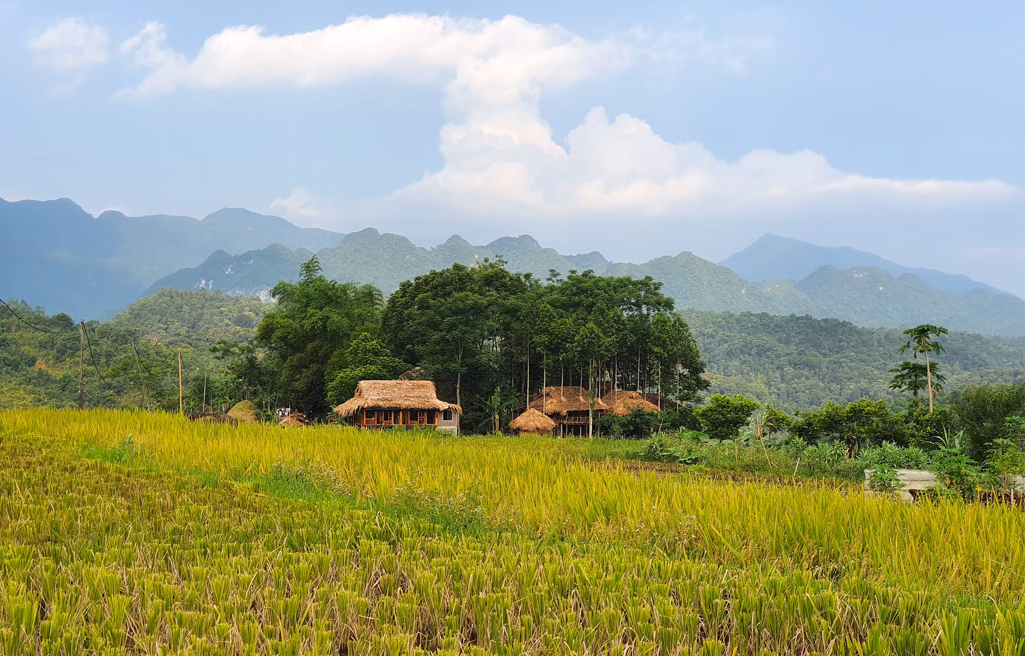 Bên cạnh sự đa dạng về cảnh quan thiên nhiên, đa dạng về bản sắc văn hóa của cộng đồng người Thái, Mường là nét đặc trưng, vẻ đẹp ấn tượng không phải nơi nào cũng có được. Người dân trong các bản làng giờ đây cũng ý thức hơn việc bảo tồn những giá trị văn hóa, sản vật đặc sắc bản địa, cũng như giữ gìn môi trường xanh, sạch, đẹp để cuộc sống ngày càng khấm khá, tươi đẹp hơn.