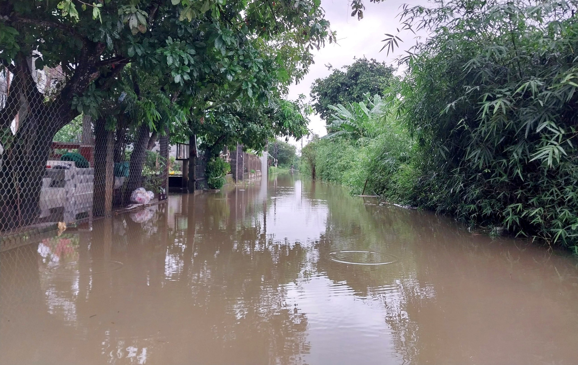 Văn phòng Ban Chỉ huy Phòng chống thiên tai và Tìm kiếm cứu nạn tỉnh Thừa Thiên - Huế cho hay, mưa lớn trong tối 10 và sáng 11/10 khiến nhiều vùng thấp trũng bị ngập lụt.