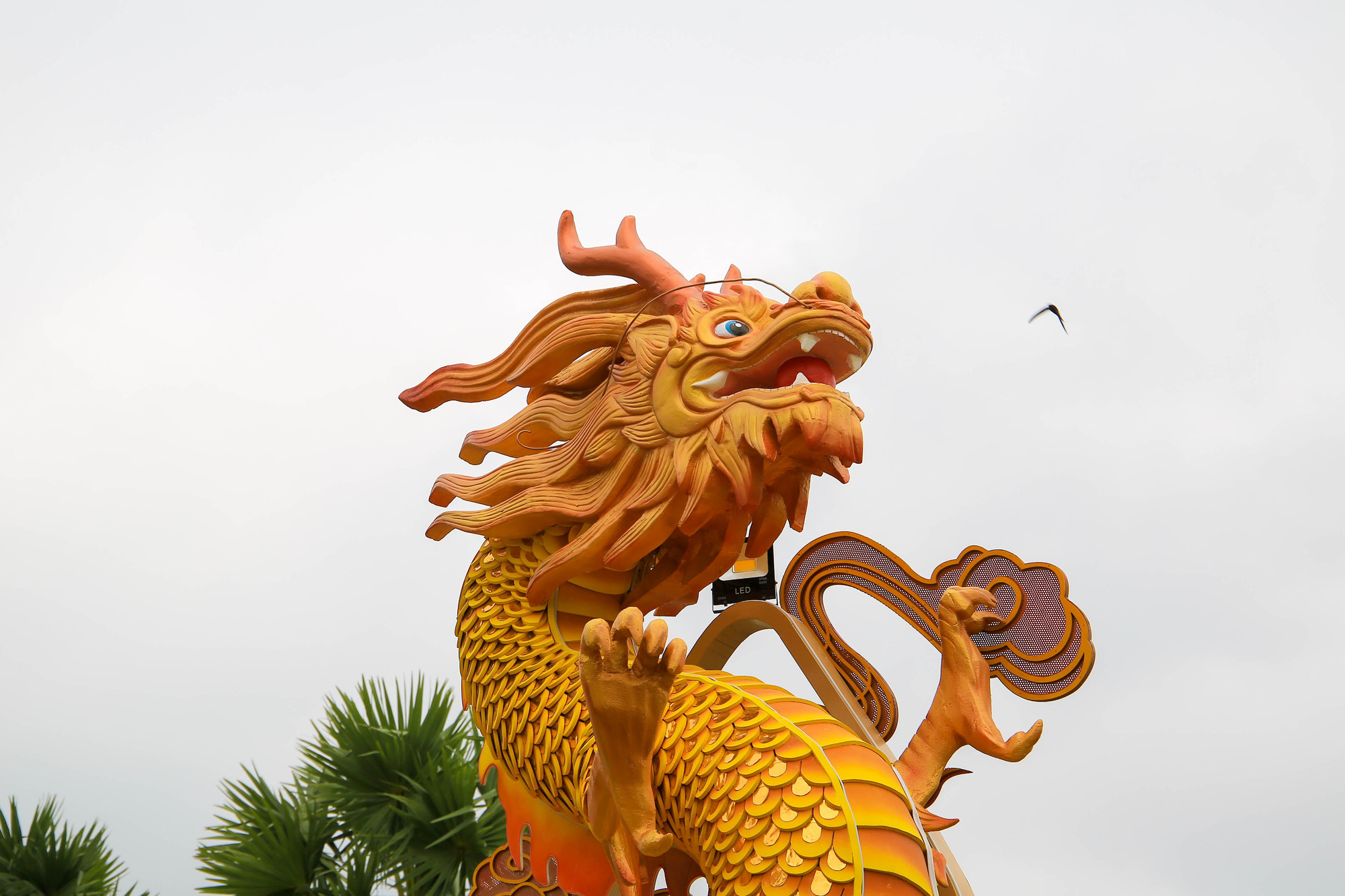 Linh vật rồng Huế được thiết kế với ý nghĩa mang nhiều giá trị văn hóa, tinh thần của dân tộc và nhận được rất nhiều lời khen của người dân địa phương và du khách.