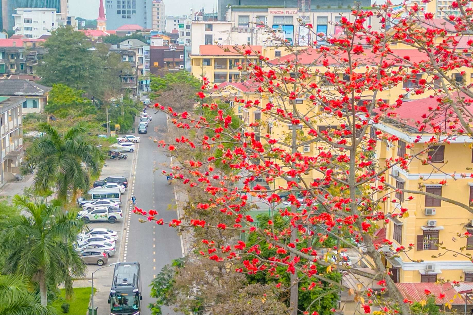 Một góc phố rực rỡ sắc hoa.