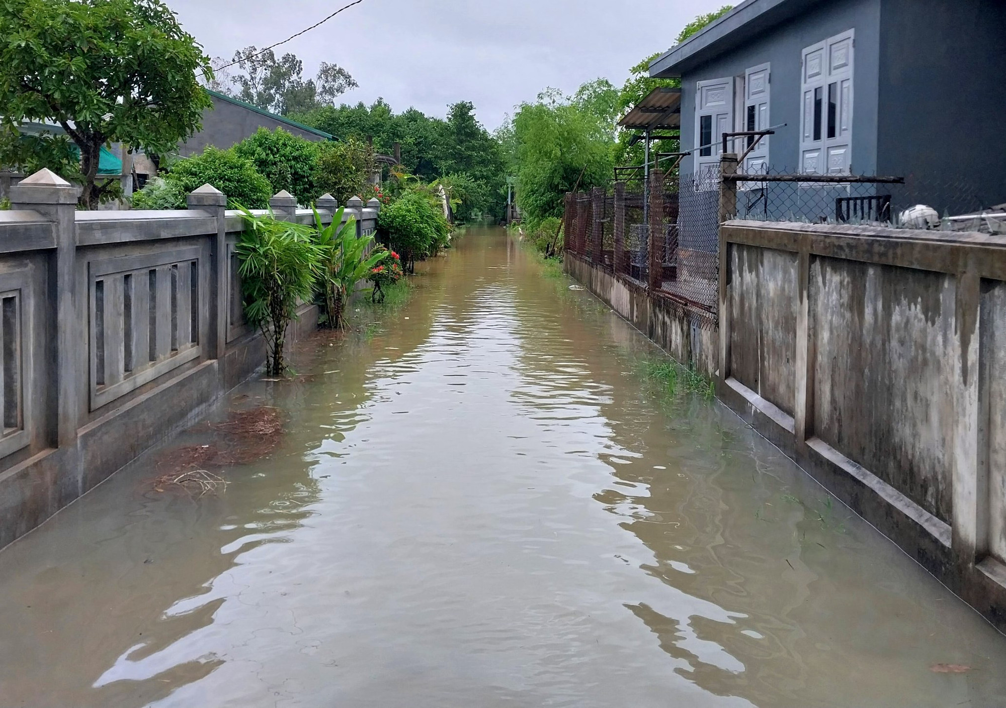 Nhiều đường làng ngõ xóm chìm trong nước.