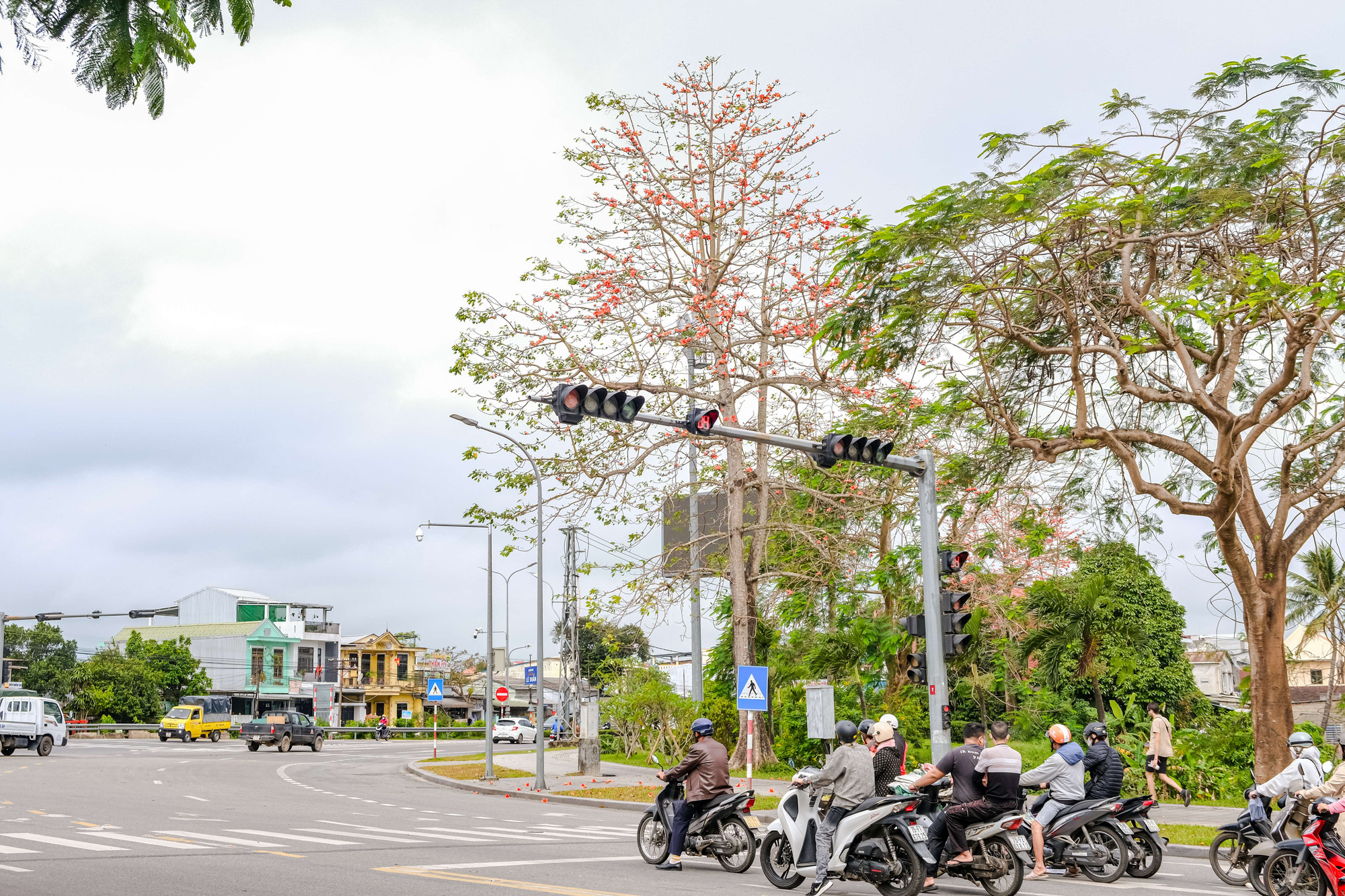 Những ngày này, một số tuyến phố tại TP Huế như được 'thắp lửa' giữa khung cảnh lãng mạn khiến dòng người ngang qua cũng thích thú ngắm nhìn.