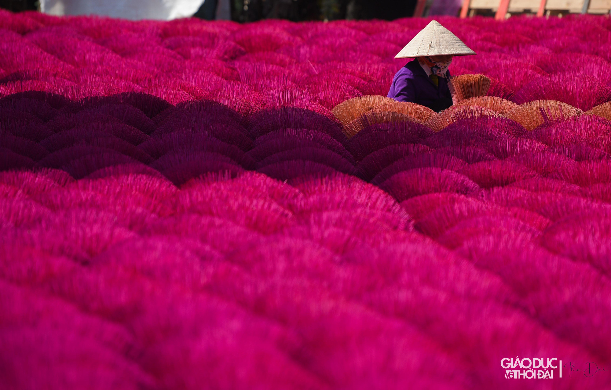 Ông Long cho biết, việc đón khách các đoàn khách đến cũng tình cờ, từ rất lâu khi phơi chân hương thì có khách đến hỏi, ông cũng nhiệt tình trả lời, sau nhiều người đến với gia đình ông hơn.