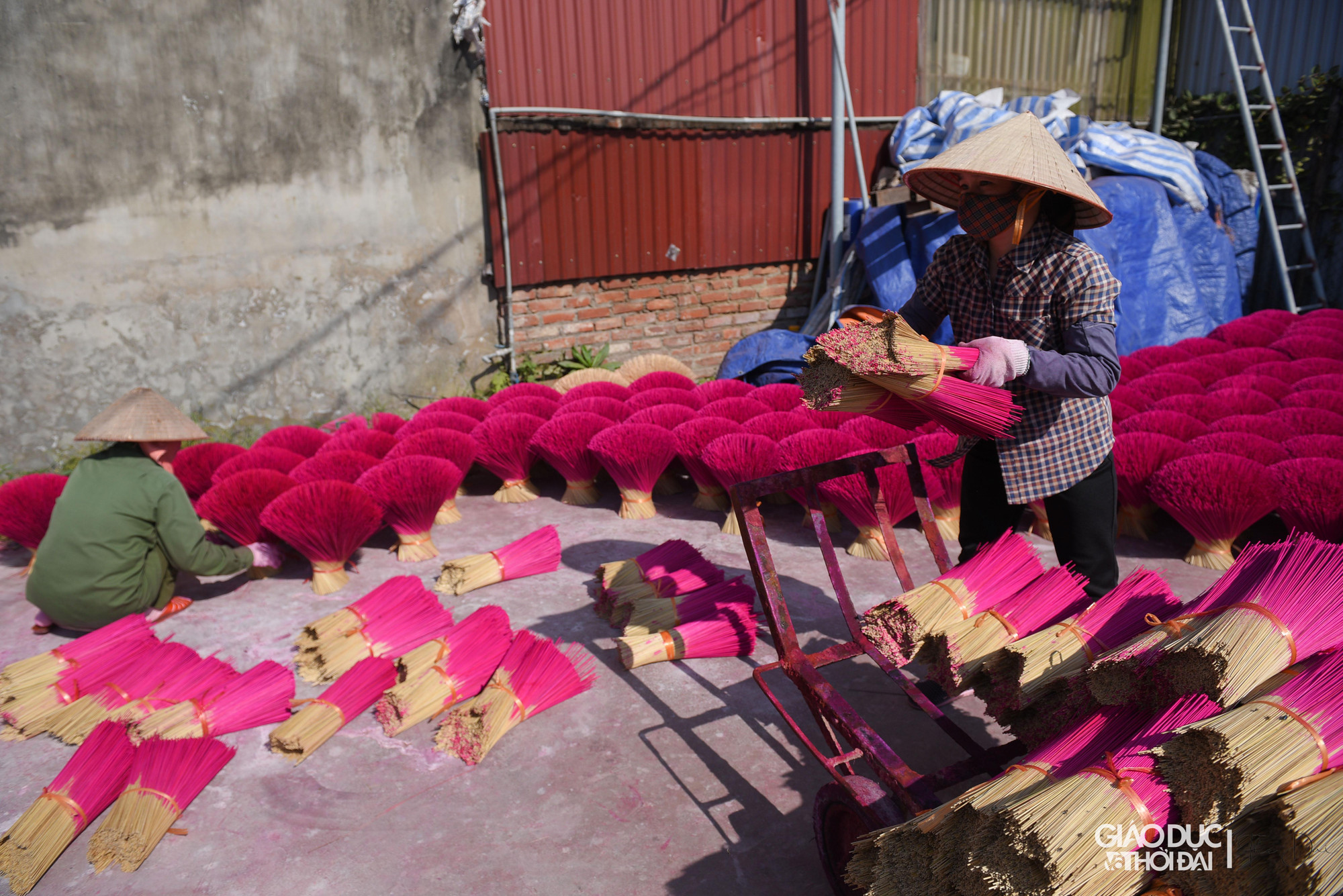 Mỗi mẻ hương phơi dưới trời nắng to khoảng 1 ngày là khô, sau đó đóng gói thành phẩm và vận chuyển đi khắp các tỉnh thành.