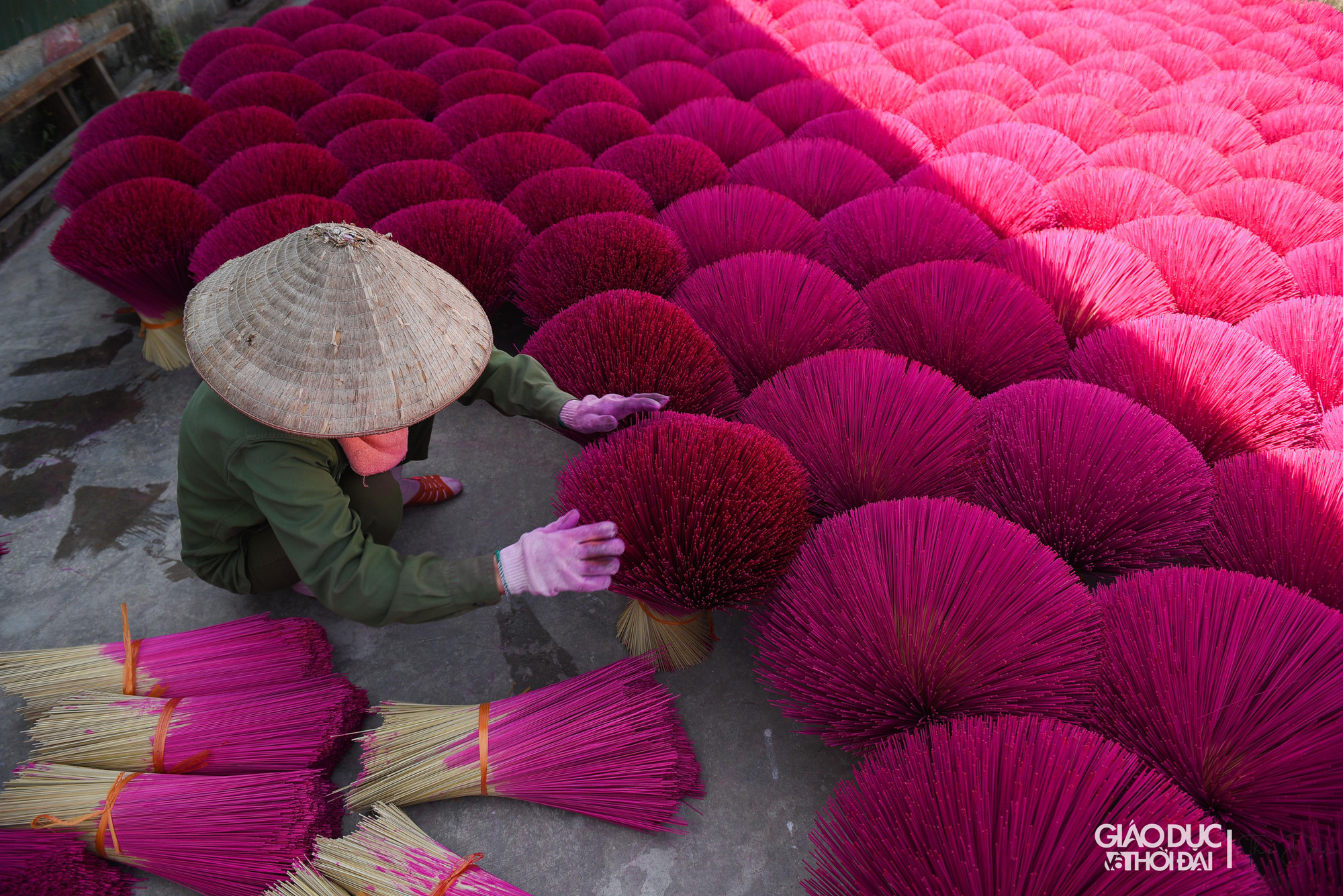 Mỗi mẻ hương phơi dưới trời nắng to khoảng 1 ngày là khô, sau đó đóng gói thành phẩm và vận chuyển đi khắp các tỉnh thành.