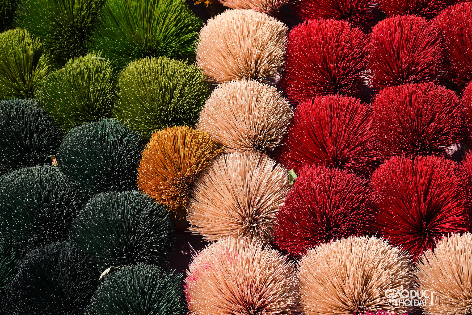 Mỗi bó chân hương như thế nặng tầm 3kg, được bán với giá từ 3.000 đồng/kg.