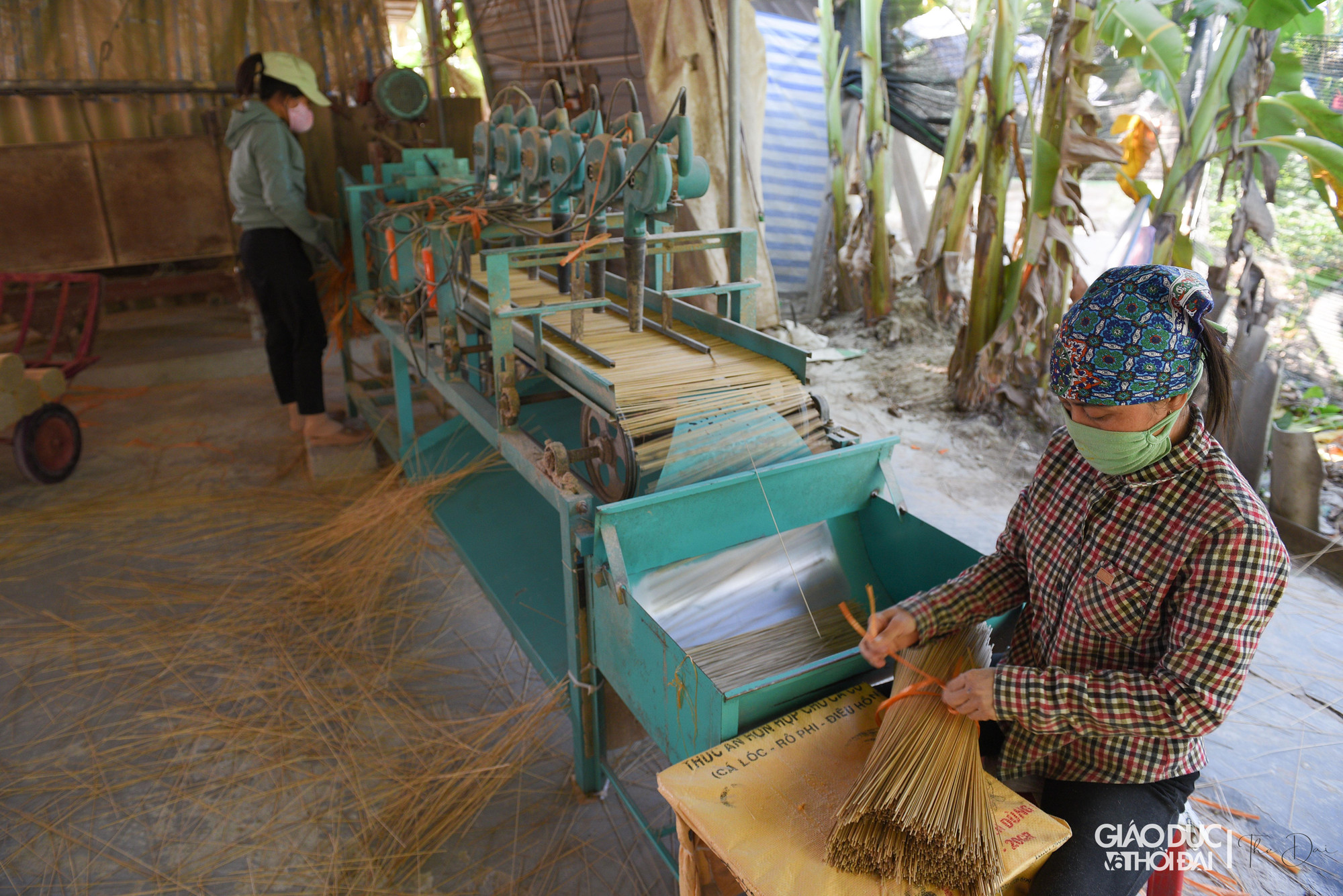 Theo ông Long, nguyên liệu chính để làm ra chân hương là cây vầu. Vầu được dùng làm chân hương phải đủ độ tuổi và được chọn lựa kỹ càng chứ không được cẩu thả.