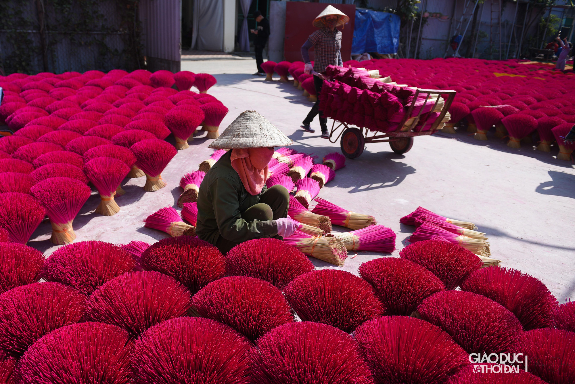 Mỗi mẻ hương phơi dưới trời nắng to khoảng 1 ngày là khô, sau đó đóng gói thành phẩm và vận chuyển đi khắp các tỉnh thành.