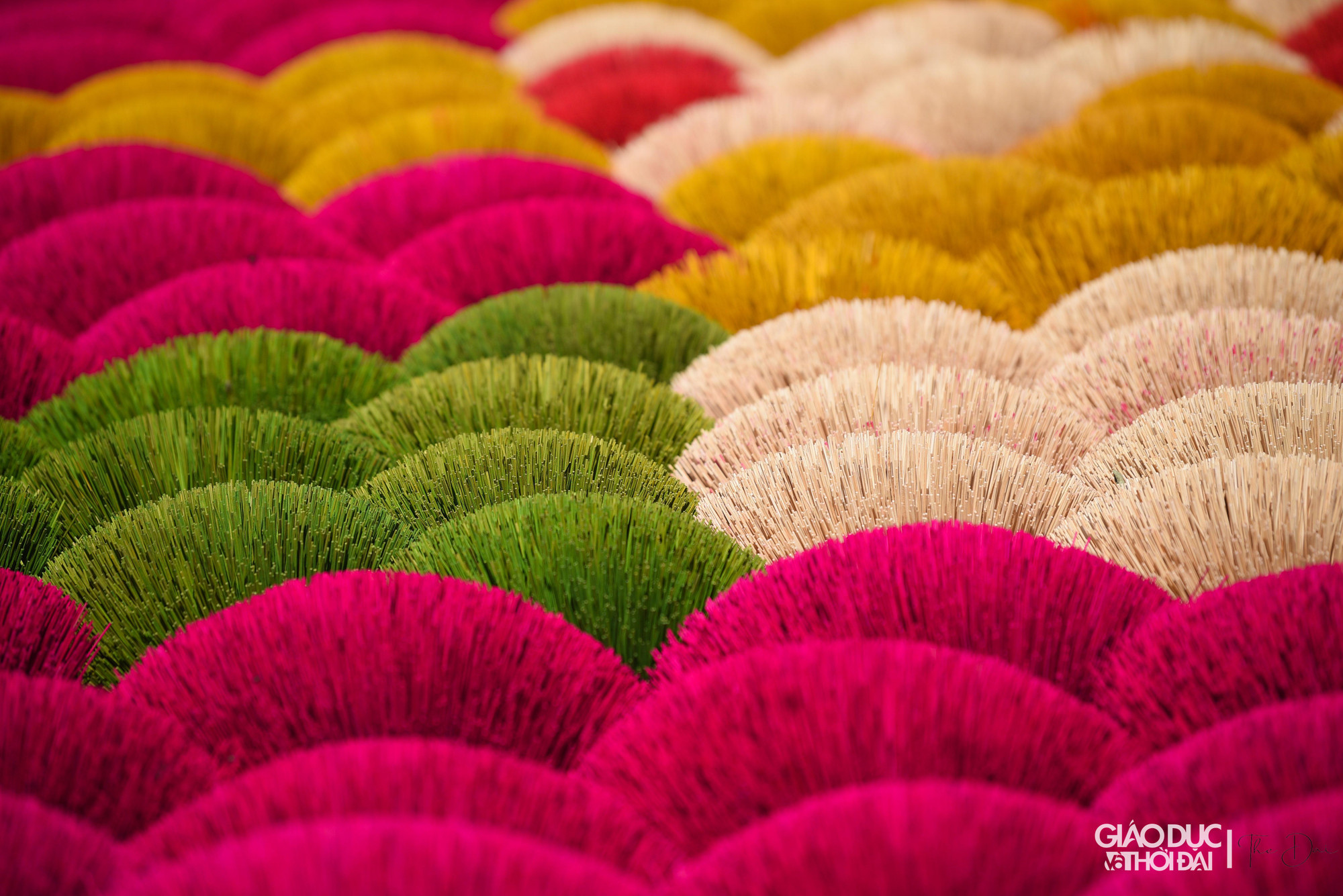 Chân hương nhuộm đỏ với kích cỡ to hơn, dài hơn được dùng để làm hương thắp trong đình, chùa. Còn loại chân hương nhuộm hồng với kích cỡ vừa vặn thường thấy được sử dụng trong gia đình vào các dịp lễ tết hay hôm rằm.