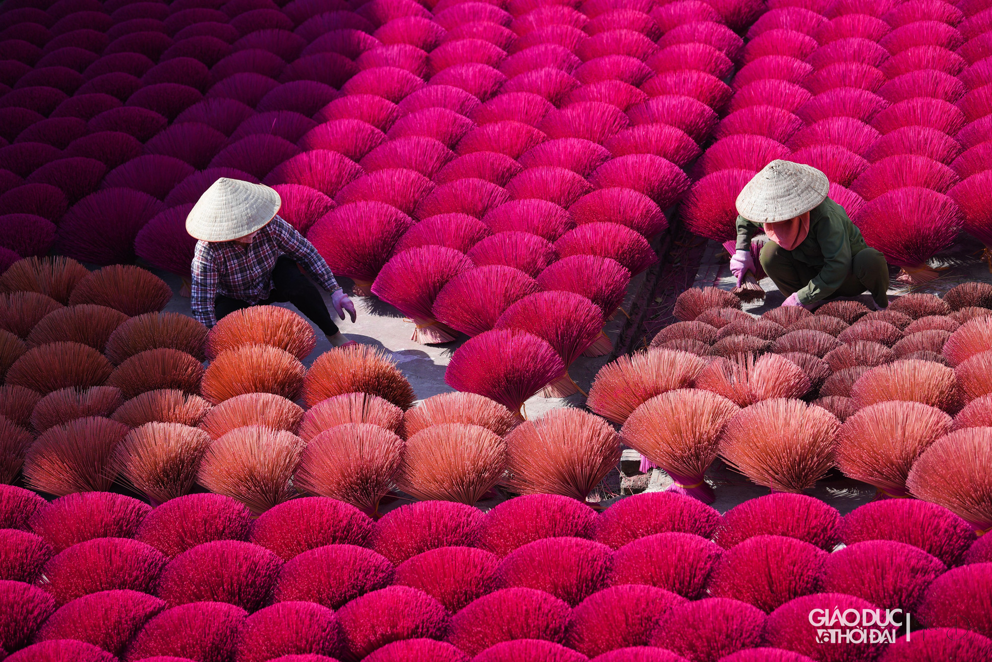 Sau khi đã phơi khô, chân hương được vận chuyển đến nơi se bột để làm nên thành phẩm cuối cùng.