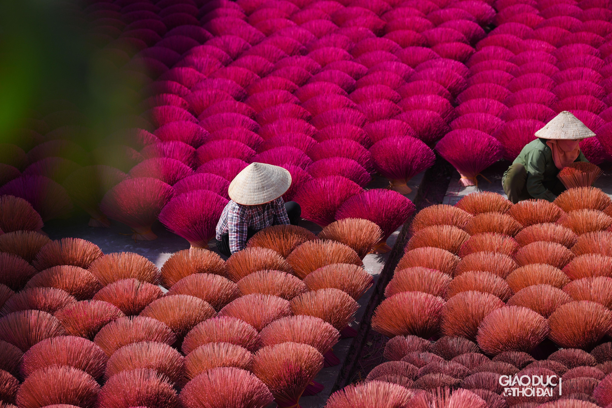 Ông Long cho biết, việc đón khách các đoàn khách đến cũng tình cờ, từ rất lâu khi phơi chân hương thì có khách đến hỏi, ông cũng nhiệt tình trả lời, sau nhiều người đến với gia đình ông hơn.