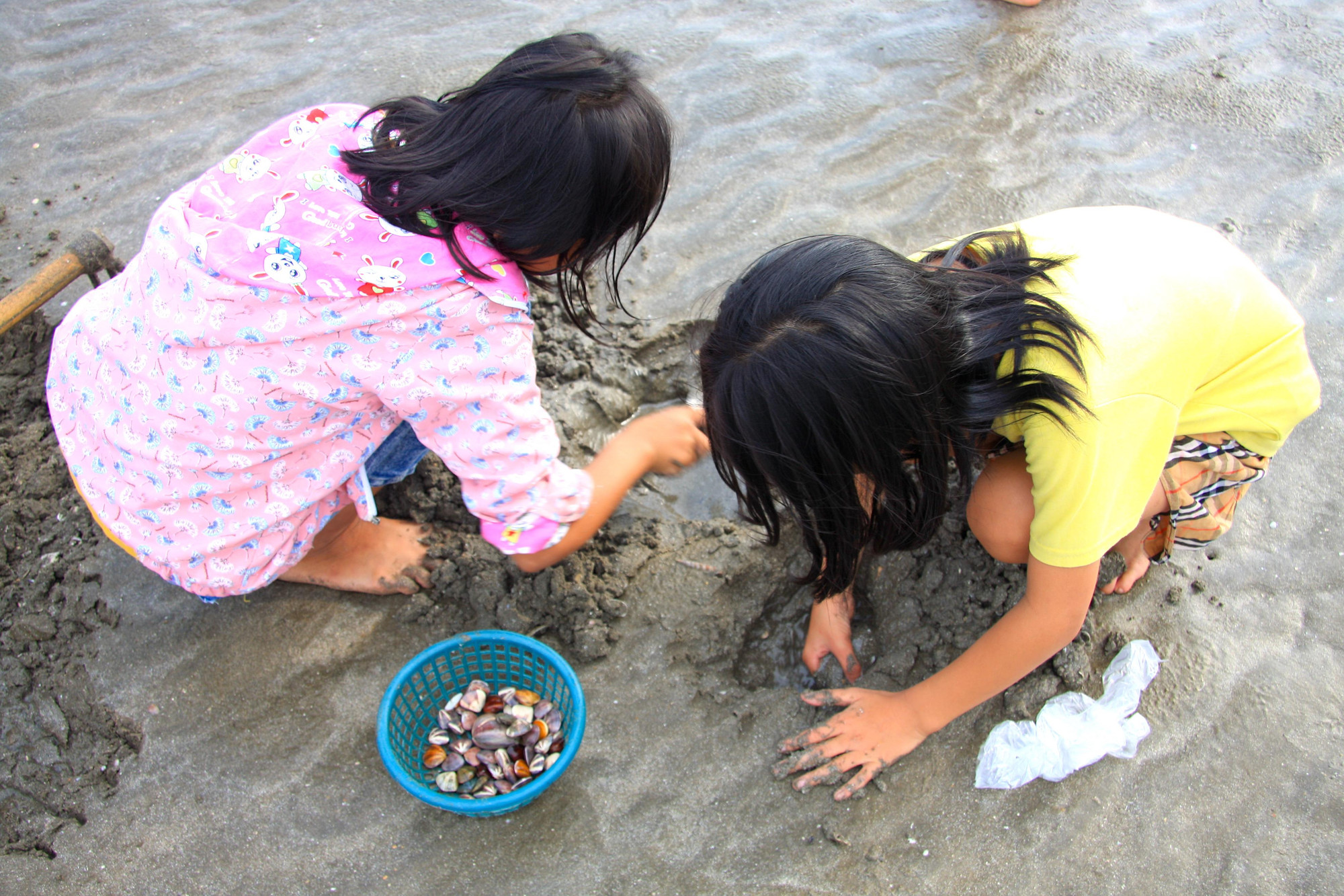 Trong thời gian nghỉ hè, nhiều em nhỏ cũng theo mẹ, cặm cụi cào bắt ngao.