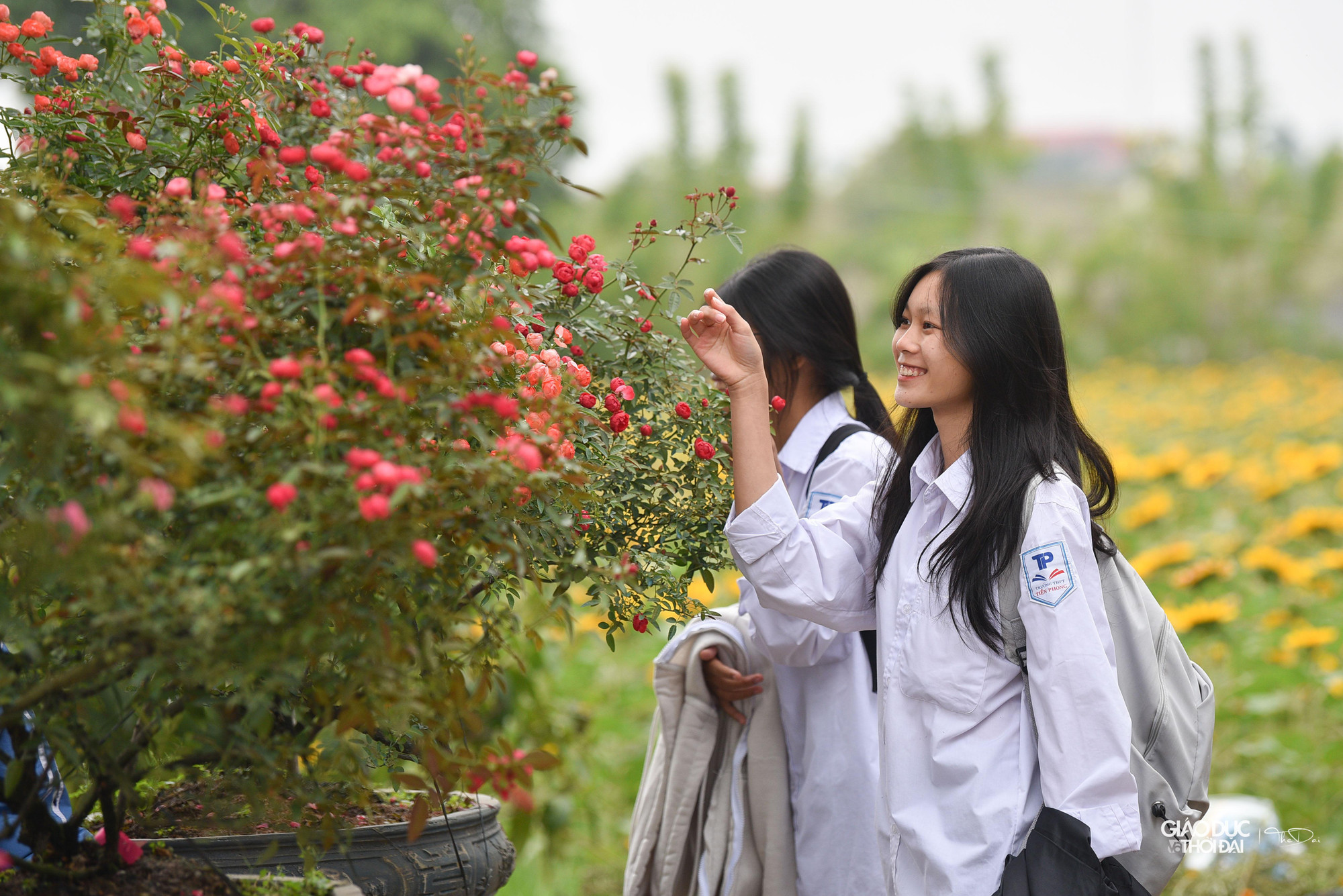 Lễ hội hoa thu hút rất đông các bạn trẻ.