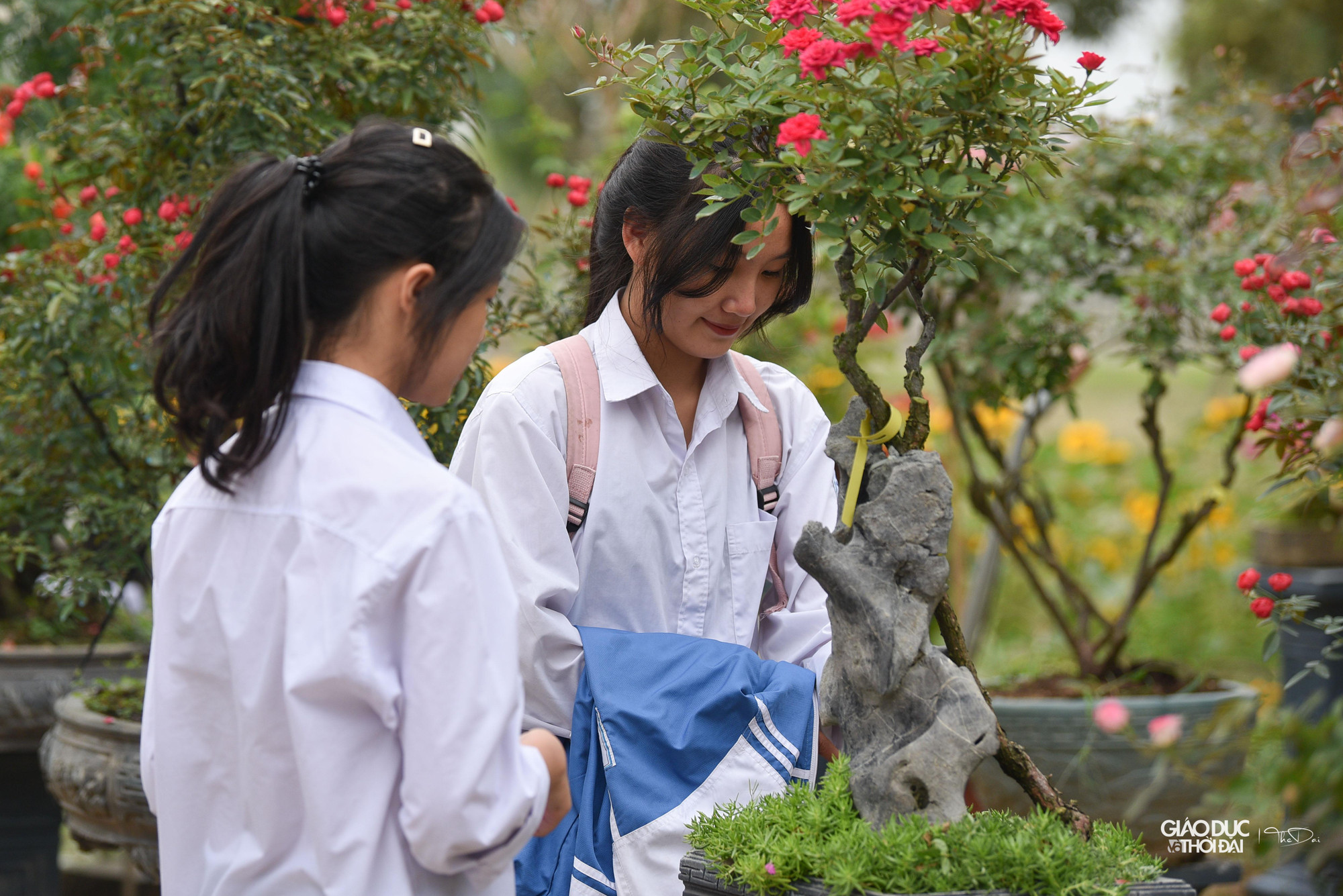 Lễ hội hoa thu hút rất đông các bạn trẻ.