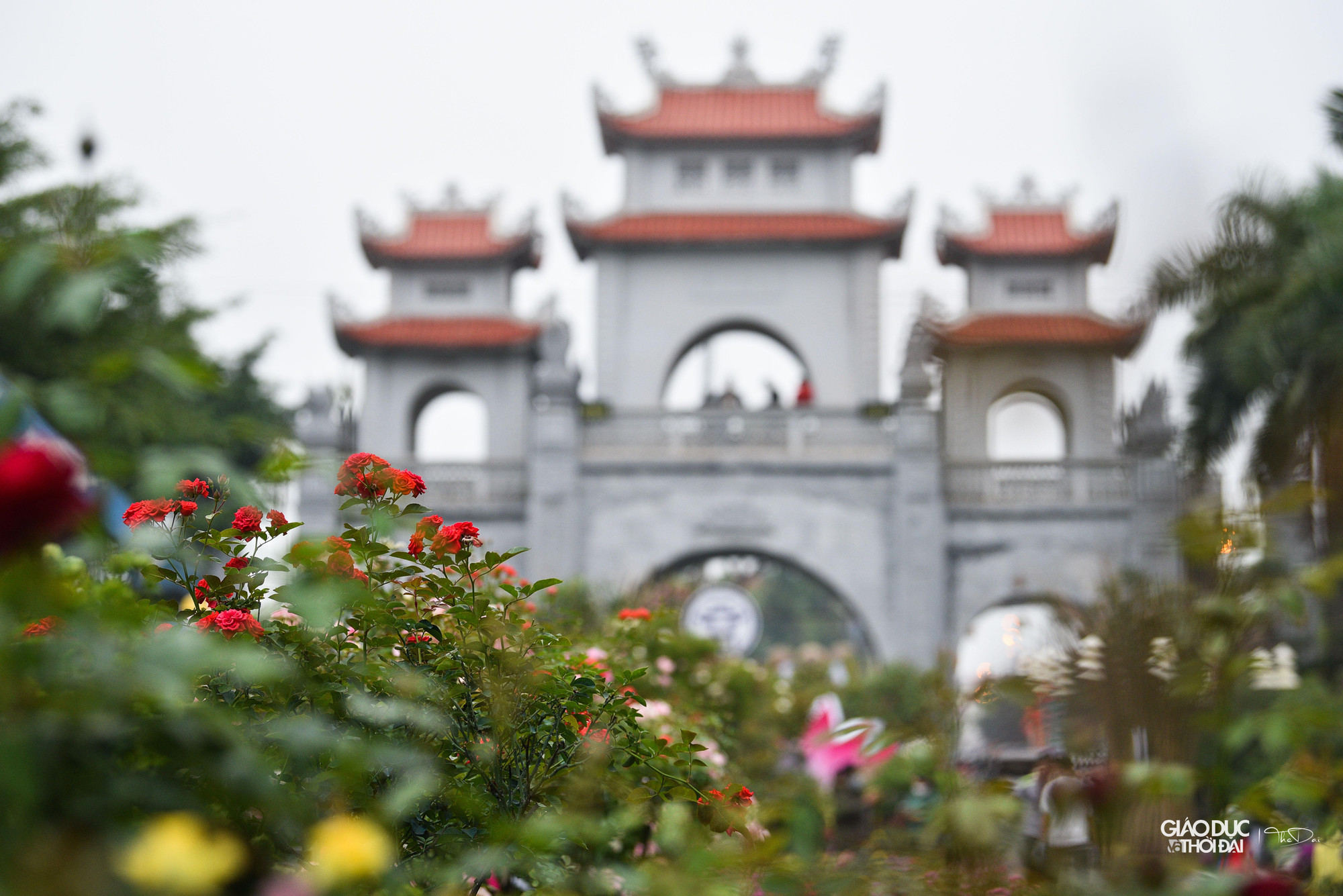 Chuẩn bị cho sự kiện này, &quot;thủ phủ hoa&quot; Mê Linh - vựa hoa của Thủ đô Hà Nội đang vào giai đoạn cuối cùng cho công tác chuẩn bị trước khi giới thiệu đến công chúng Festival hoa rực rỡ sắc màu.