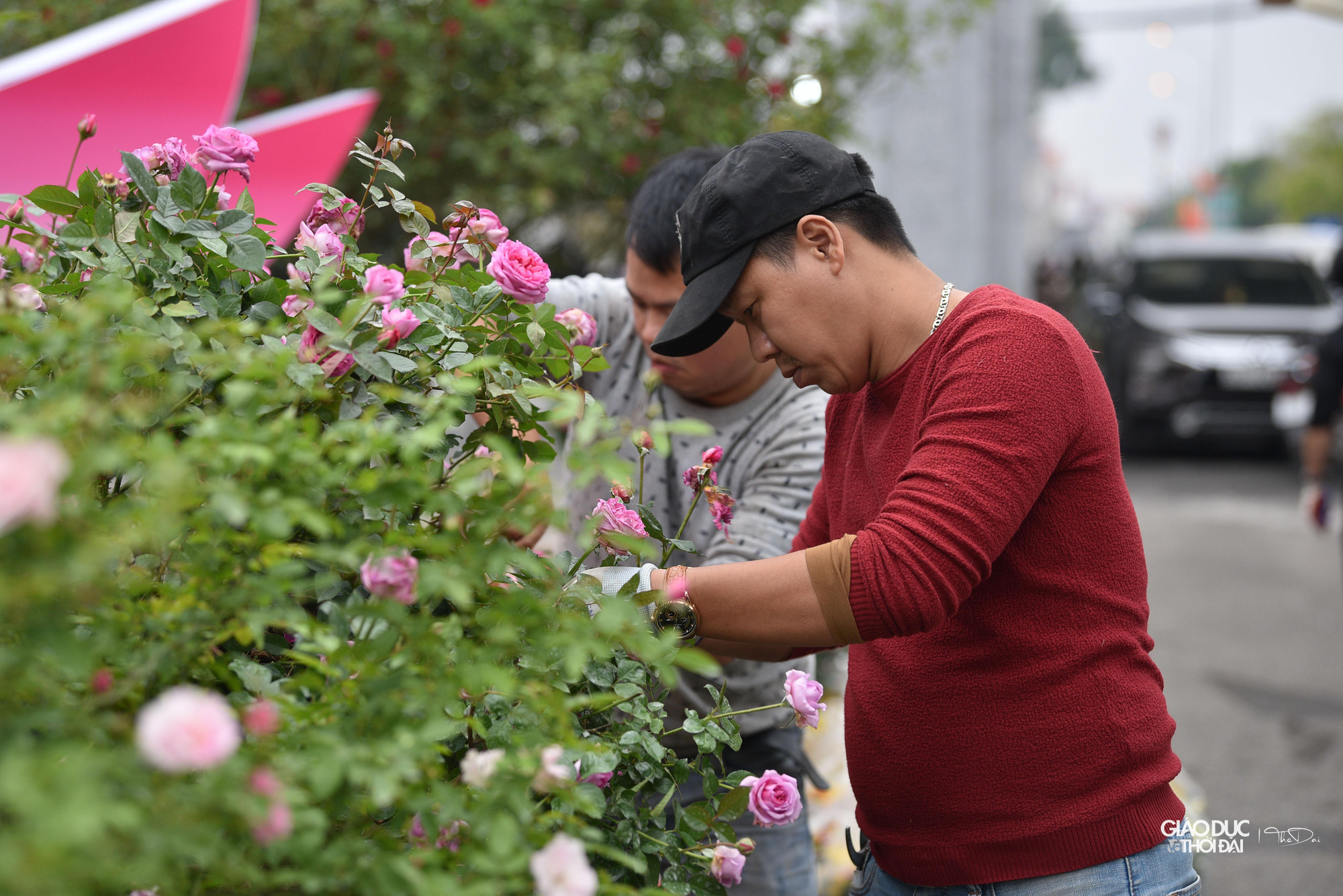 &quot;Các hộ cùng chung tay tham gia, chuẩn bị trước nhiều tháng với mong muốn một lễ hội thật nhiều màu sắc. Chúng tôi hy vọng sẽ có nhiều người dân, quý khách thập phương về tham dự lễ hội hoa của Mê Linh, đây cũng là điều kiện để quảng bá cho người dân trồng hoa chúng tôi&quot;. Ông Đồng cho biết thêm.