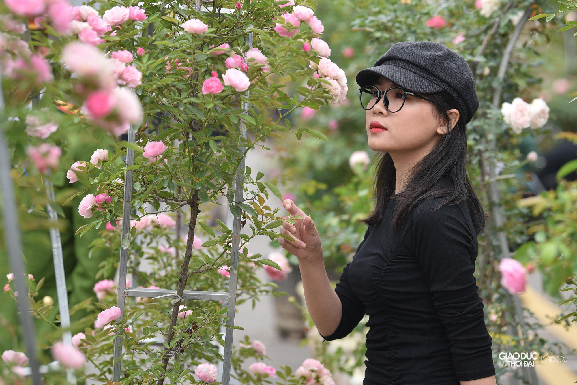 Rất nhiều bạn trẻ đã đến nơi đây để check-in cùng hoa.