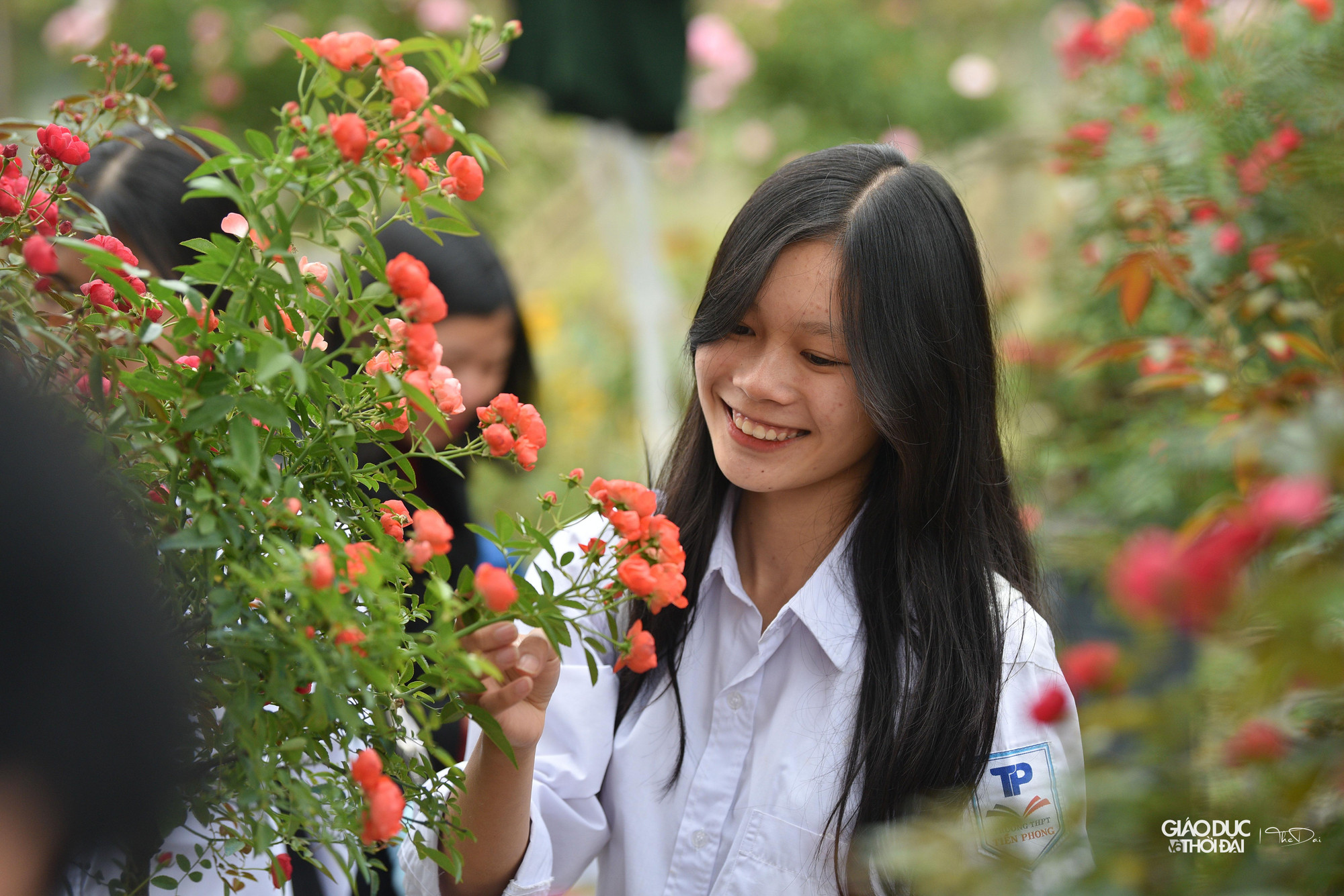 Lễ hội hoa thu hút rất đông các bạn trẻ.