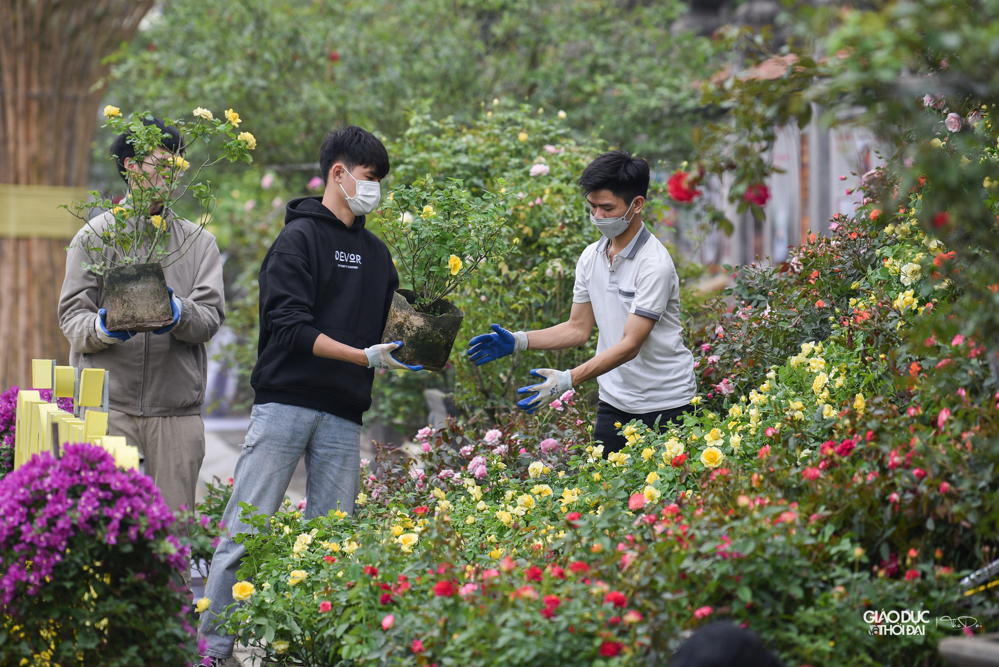&quot;Các hộ cùng chung tay tham gia, chuẩn bị trước nhiều tháng với mong muốn một lễ hội thật nhiều màu sắc. Chúng tôi hy vọng sẽ có nhiều người dân, quý khách thập phương về tham dự lễ hội hoa của Mê Linh, đây cũng là điều kiện để quảng bá cho người dân trồng hoa chúng tôi&quot;. Ông Đồng cho biết thêm.