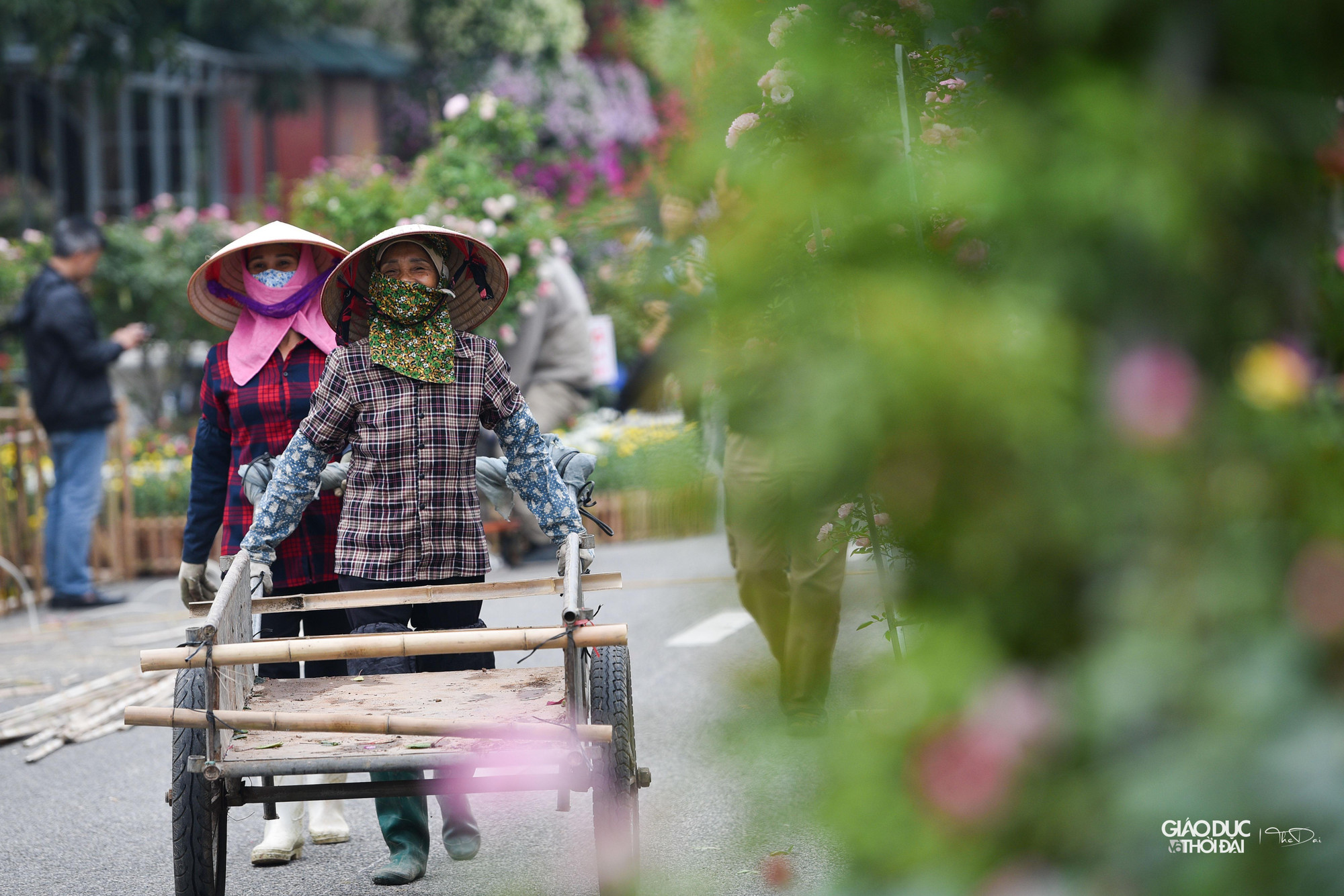 Đây là lần đầu tiên huyện Mê Linh tổ chức Chương trình Lễ hội hoa nhằm trưng bày, giới thiệu các loại hoa, sản phẩm từ hoa, cây cảnh, nghệ thuật sắp đặt, trang trí hoa, cây cảnh của các nghệ nhân trồng hoa huyện Mê Linh tới các đại biểu, nhân dân và du khách thập phương.