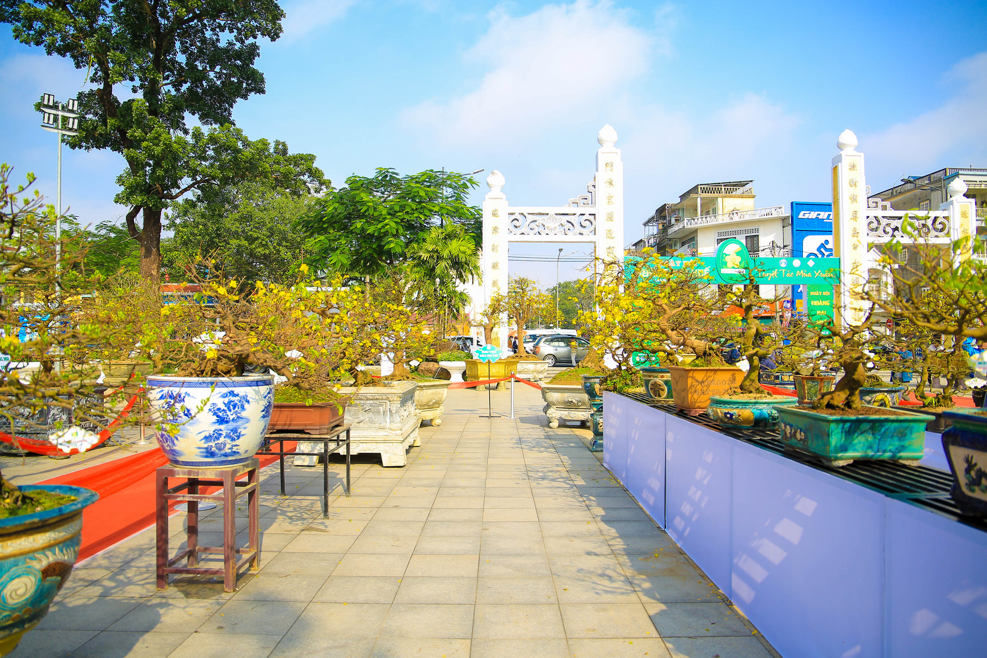 Ngày hội quy tụ gần 400 tác phẩm Hoàng mai đặc sắc nhất của mỗi nghệ nhân.