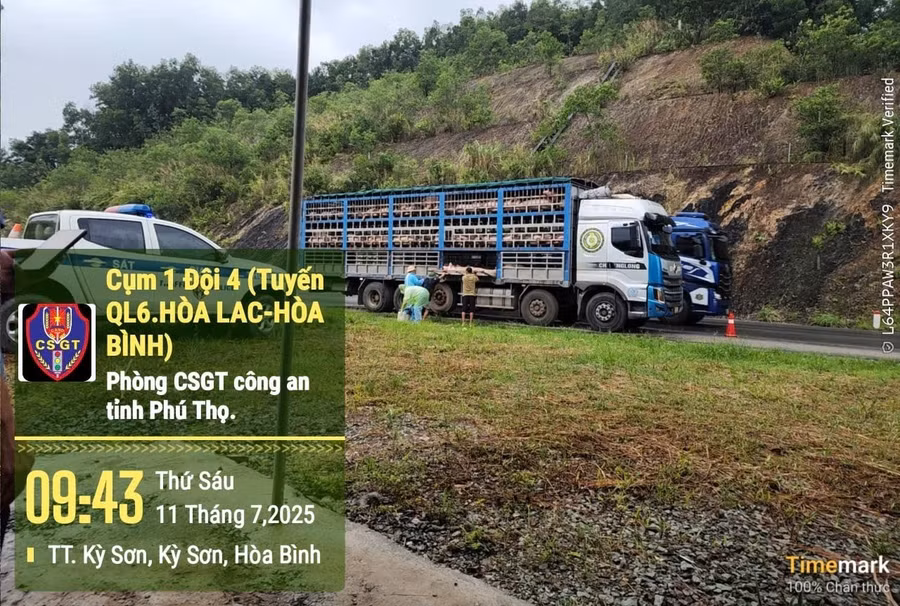 Lực lượng chức năng kiểm tra xe ô tô chở lợn (ảnh Đỗ Trung).