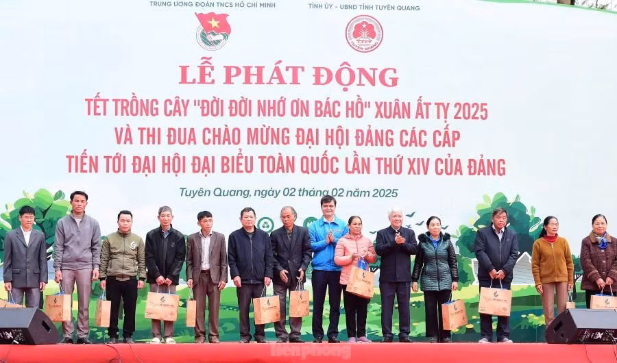 tp-h5-4437-5151.jpg