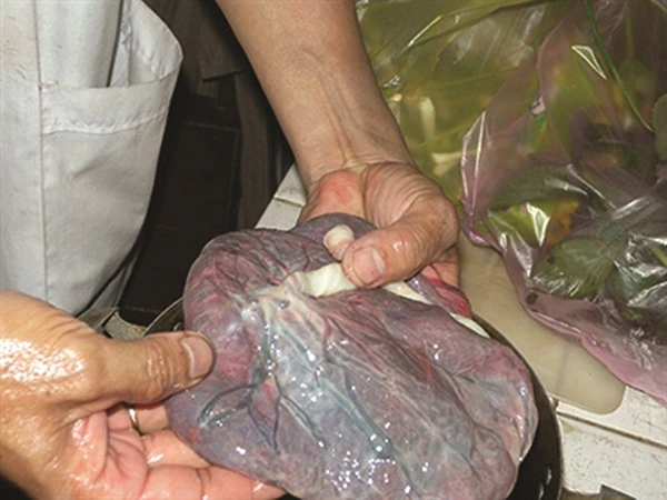 giaoducthoidai.vn