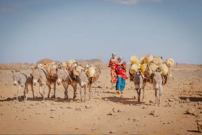 Những người phụ nữ dắt lừa chở can nhựa đến lấy nước ở Kambinye, Kenya. Ảnh: Fredrik Lerneryd/Oxfam. kenya-tao-hon-1.jpg