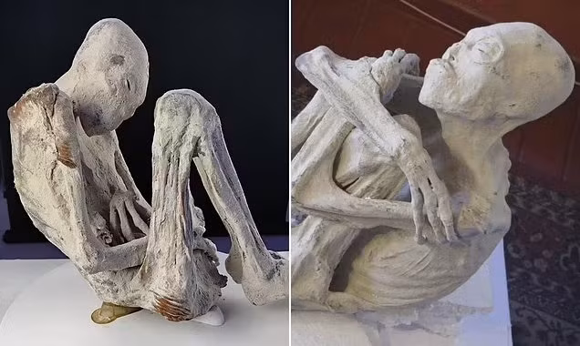 Phát hiện bất ngờ trên xác ướp nghi là người ngoài hành tinh