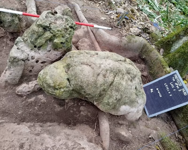 Tài liệu từ Bộ Văn hóa và Thể thao Guatemala cho thấy các tác phẩm điêu khắc hình người được phát hiện tại Khu dự trữ sinh quyển Maya ở tỉnh Petén, Guatemala. Ảnh: Bộ Văn hóa và Thể thao Guatemala/AFP/Getty Images