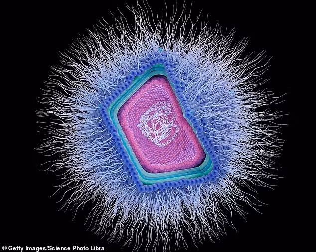 Virus khổng lồ là một nhóm đa dạng và phức tạp, có khả năng lây nhiễm từ sinh vật nhân thực đơn bào đến động vật. Trong hình: Minh họa một virus DNA khổng lồ thuộc nhóm nucleocytoplasmic.