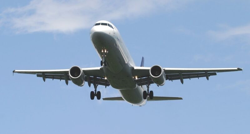 Máy bay A321 của Airbus. Ảnh: Raimund Stehman/Wikimedia Commons. bat-ngo-voi-du-an-mat-than-tren-bau-troi-netra-mkii-awacs-2.jpg