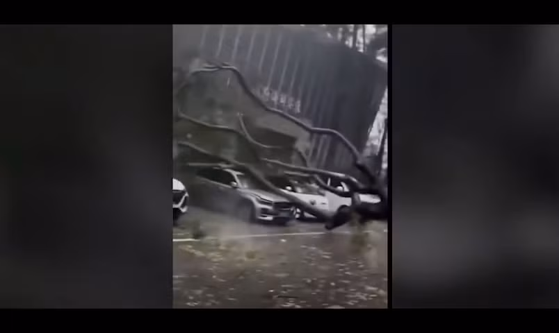 Cảnh tượng dữ dội khi bão Kajiki đổ bộ Trung Quốc