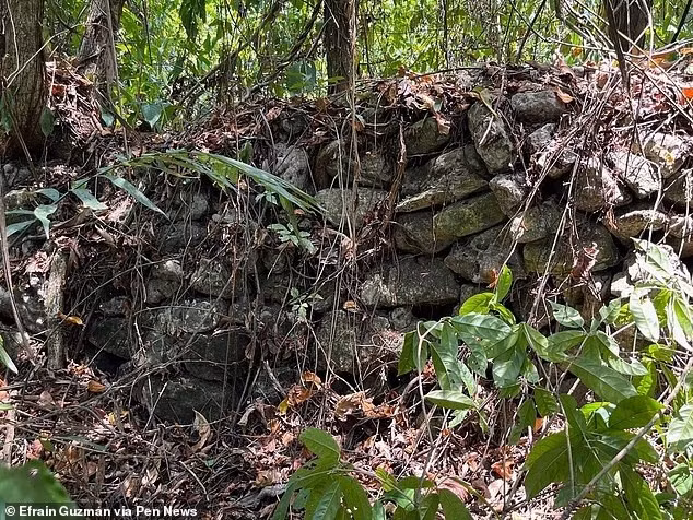 Thành phố này nằm ở trung tâm rừng rậm Mexico và từng là nơi người Maya chống lại quân Tây Ban Nha trong hơn một thế kỷ trước khi bị bắt và thất thủ vào giữa thế kỷ 18.