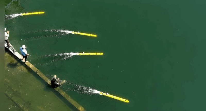 Phương tiện lặn tự hành di động (MP-AUV) mới của Ấn Độ. Ảnh: Bộ Quốc phòng Ấn Độ