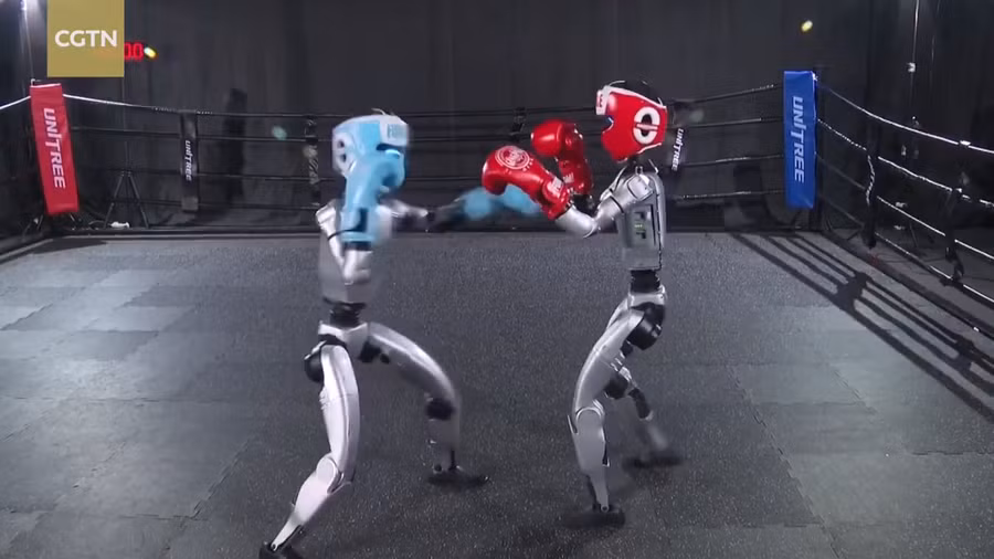 Video robot Trung Quốc tung đòn chuẩn bị cho trận boxing chưa từng có