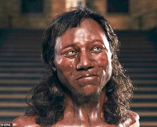 Tác phẩm điêu khắc này mô tả khuôn mặt của Cheddar Man, một thợ săn thời kỳ đồ đá giữa có hài cốt được tìm thấy tại Hang Gough ở Hẻm núi Cheddar, Somerset năm 1903. giai-ma-dung-nhan-to-tien-loai-nguoi-qua-guong-mat-nguoi-phu-nu-10500-tuoi-5.jpg
