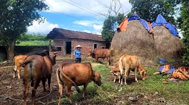 Đẩy mạnh tuyên truyền chỉ thị số 39-CT/TƯ ở Bố Trạch