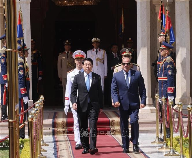 Tổng thống Abdel Fattah El-Sisi đón Chủ tịch nước Lương Cường. (Ảnh: Lâm Khánh/TTXVN) le-don-chu-tich-nuoc-luong-cuong-tham-cap-nha-nuoc-cong-hoa-arab-ai-cap-2.jpg