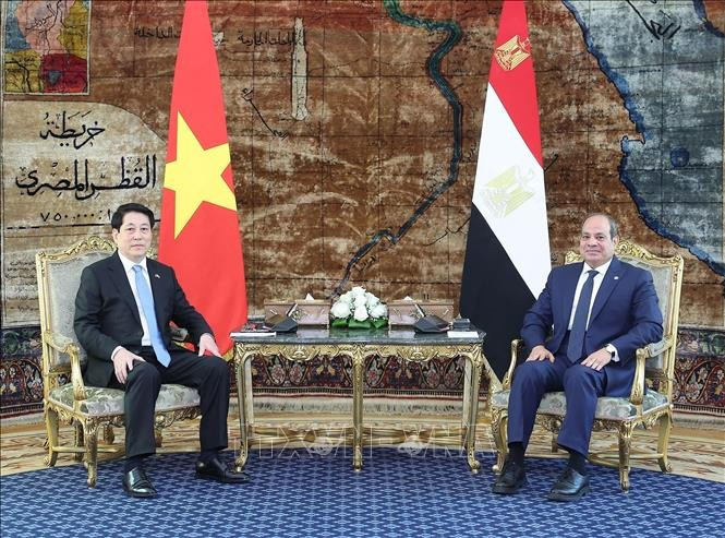 Chủ tịch nước Lương Cường và Tổng thống Ai Cập Abdel Fattah El-Sisi hội đàm hẹp. (Ảnh: Lâm Khánh/TTXVN) le-don-chu-tich-nuoc-luong-cuong-tham-cap-nha-nuoc-cong-hoa-arab-ai-cap-6.jpg