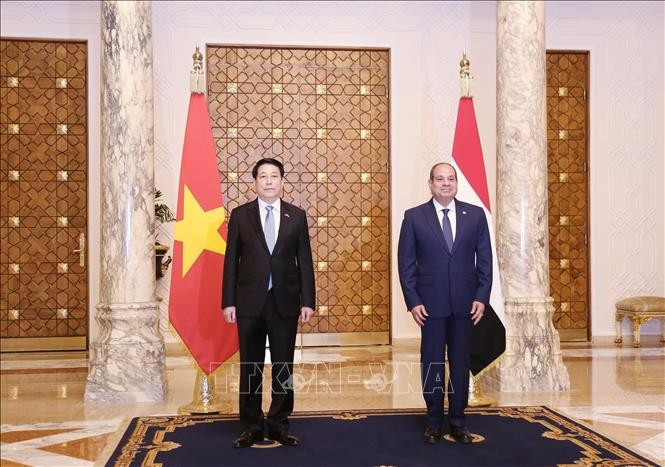 Chủ tịch nước Lương Cường và Tổng thống Ai Cập Abdel Fattah El-Sisi. (Ảnh: Lâm Khánh/TTXVN) le-don-chu-tich-nuoc-luong-cuong-tham-cap-nha-nuoc-cong-hoa-arab-ai-cap-5.jpg
