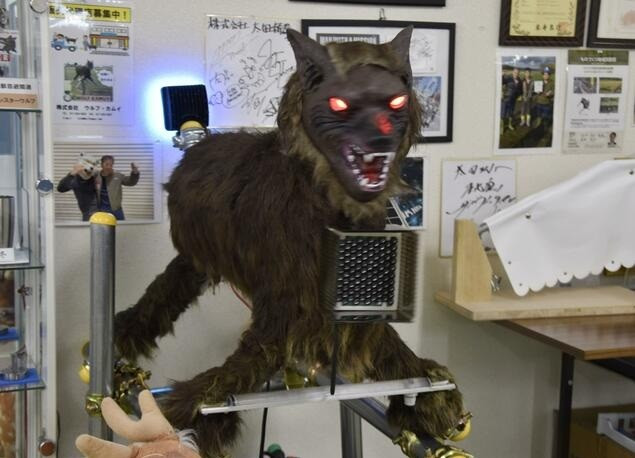 "Sói quái vật" với đôi mắt đỏ rực