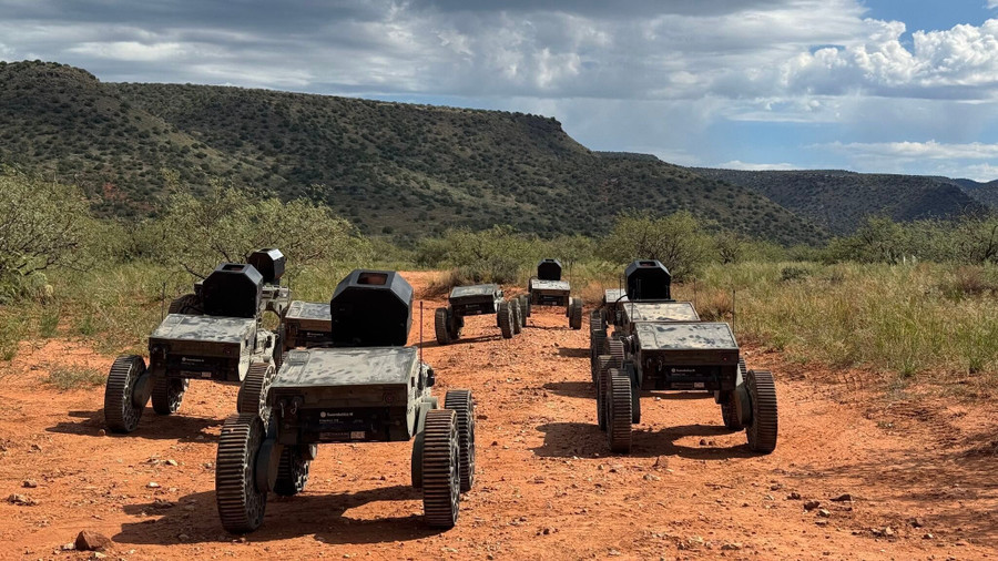 Một nhóm UGV FireAnt trên con đường đất đỏ. Ảnh: Swarmbotics AI