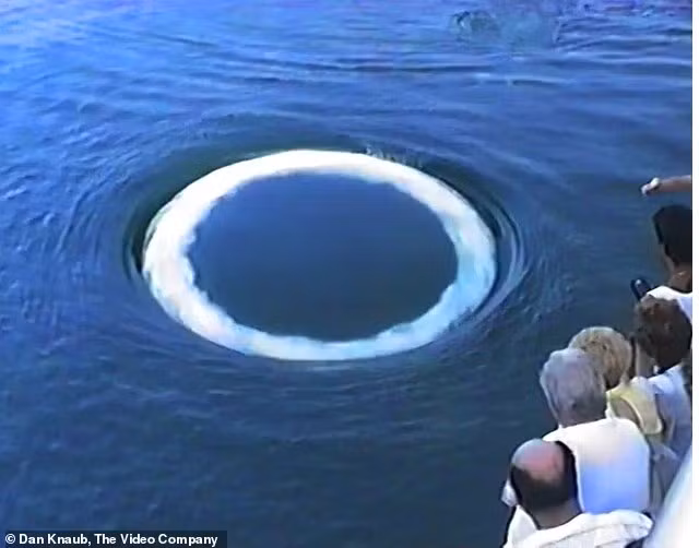 Các nhà nghiên cứu từ Viện SETI và Đại học California-Davis tiết lộ rằng những bong bóng lớn giống như 'vòng khói' phát ra từ dưới nước được tạo ra bởi cá voi lưng gù, không phải từ người ngoài hành tinh.