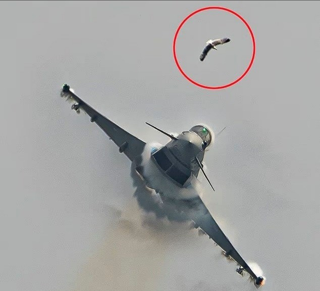 Khoảnh khắc hải âu lao vào Eurofighter làm vỡ buồng lái giữa không trung