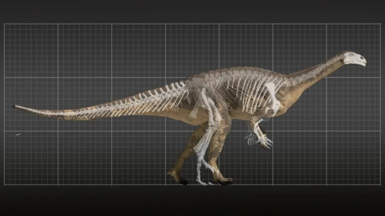 Tái tạo một con Plateosaurus bằng cách sử dụng bộ xương mô hình kỹ thuật số. tim-ra-loai-khung-long-quat-duoi-manh-ngang-174-cu-dam-cua-vo-si-quyen-anh-3.jpg